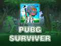Oyun PUBG Surviver
