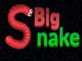 Oyun Big Snake
