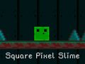 Oyun Square Pixel Slime