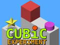 Oyun Cubic Experiment