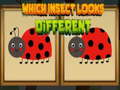 Oyun Which Insect Looks Different