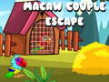 Oyun Macaw Couple Escape