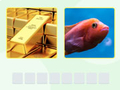 Oyun Picword