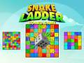 Oyun Snake and Ladder Board Game