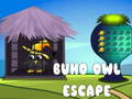 Oyun Buho Owl Escape