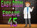 Oyun Amgel Easy Room Escape 45