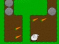 Oyun 24 Carrots
