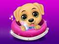 Oyun My Little Pet Salon