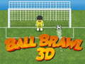 Oyun Ball Brawl 3D