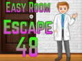 Oyun Amgel Easy Room Escape 48