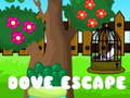 Oyun Dove Escape