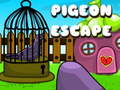 Oyun Pigeon Escape
