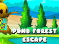 Oyun Pond Forest Escape