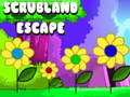 Oyun Scrubland Escape