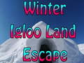 Oyun Winter Igloo Land Escape 
