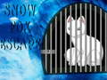 Oyun Snow Fox Escape