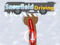 Oyun Snowfield Driving