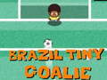 Oyun Brazil Tiny Goalie
