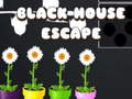 Oyun Black House Escape