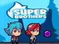 Oyun Super Brothers