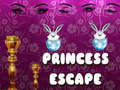 Oyun Princess Escape