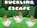 Oyun Duckling Escape