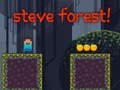 Oyun Steve Forest