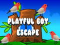 Oyun Playful Boy Escape