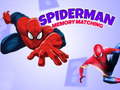 Oyun Spiderman Memory Matching
