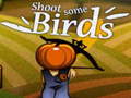 Oyun Shoot Some Birds
