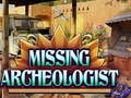 Oyun Missing Archeologist
