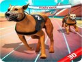 Oyun Crazy Dog Race