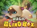 Oyun Magic Blind Box
