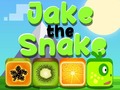 Oyun Jake The Snake