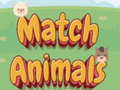 Oyun Match Animals