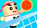 Oyun 3D Amazing VolleyBall