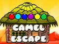 Oyun Camel Escape