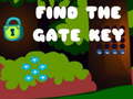 Oyun Find the Gate Key