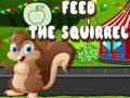Oyun Feed the squirrel