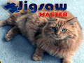 Oyun Jigsaw Master 