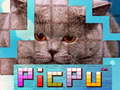 Oyun PicPu Cat 