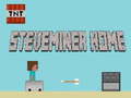 Oyun Steveminer Home