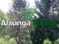 Oyun Return To Alsunga Forest