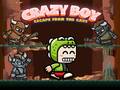 Oyun Crazy Boy Escape From The Cave