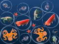 Oyun Ocean Fish Merge