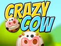 Oyun Crazy Cow
