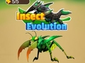 Oyun Insect Evolution