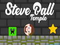 Oyun Steve Ball Temple