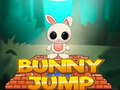 Oyun Bunny Jump