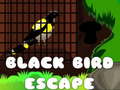 Oyun Black Bird Escape